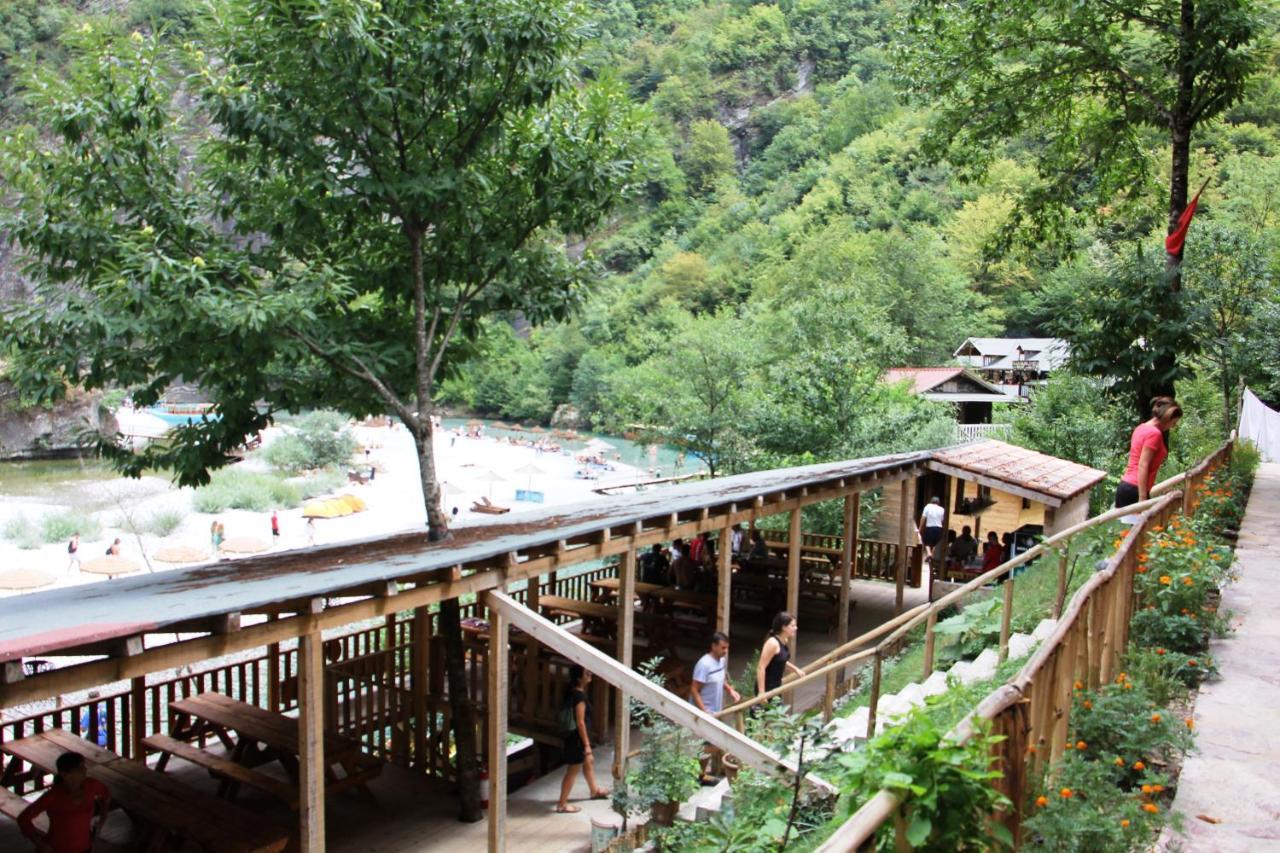 Bee Eco Guest House Moll' e Shoshit Exterior photo