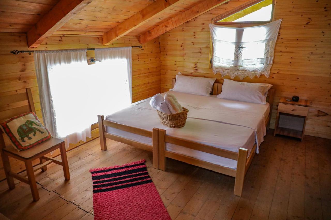 Bee Eco Guest House Moll' e Shoshit Exterior photo