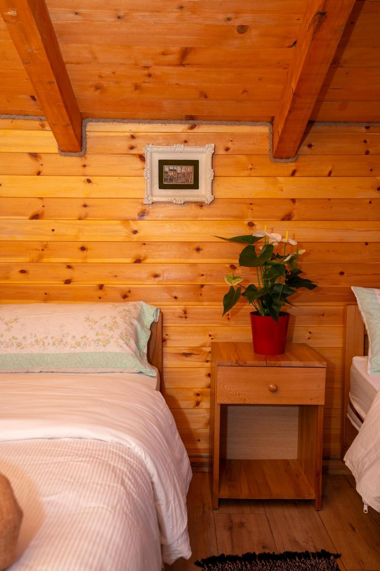 Bee Eco Guest House Moll' e Shoshit Exterior photo