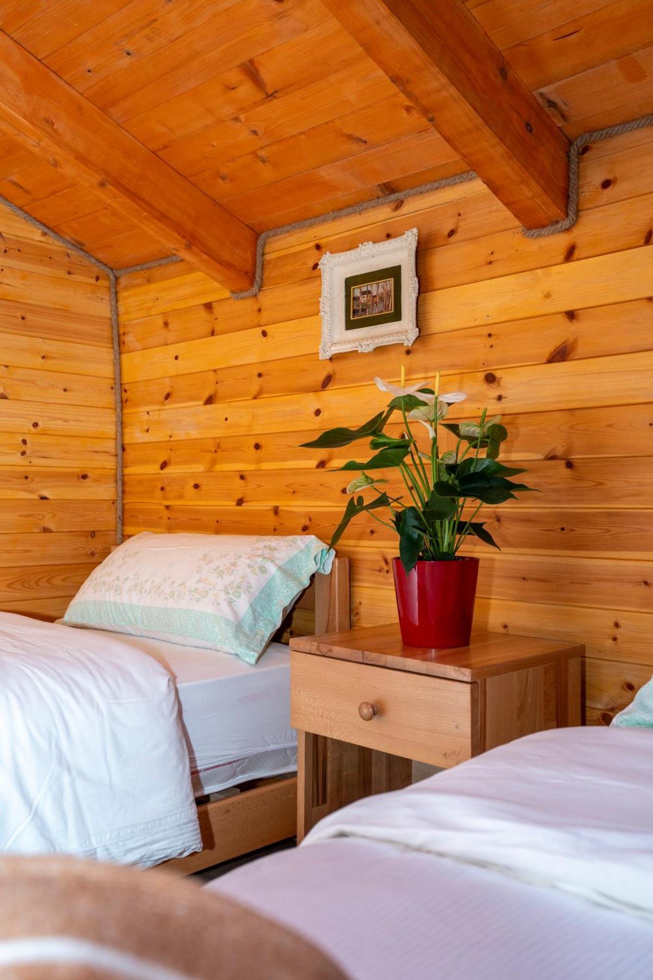 Bee Eco Guest House Moll' e Shoshit Exterior photo